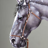 Bridle Black Framed Canvas