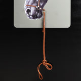Bridle Black Framed Canvas