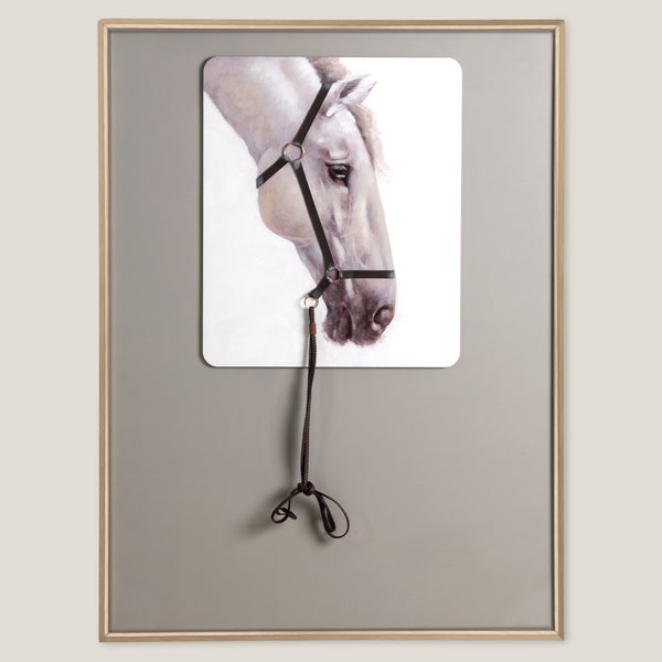 Bridle Grey Framed Canvas