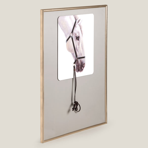 Bridle Grey Framed Canvas