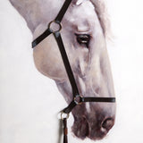 Bridle Grey Framed Canvas