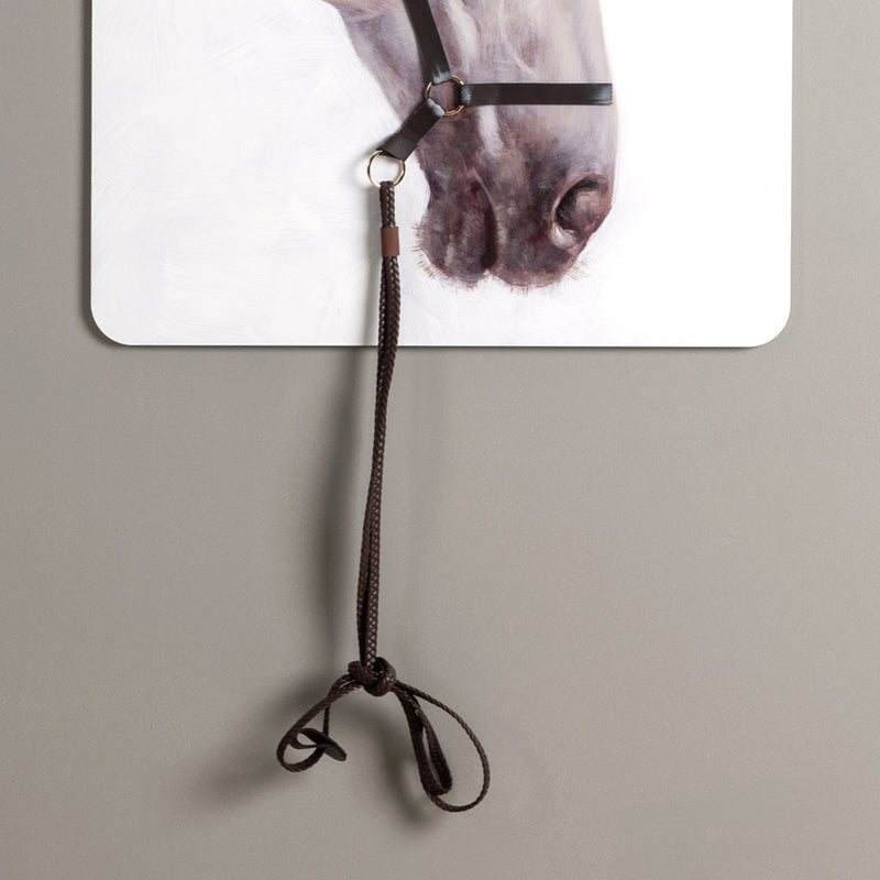 Bridle Grey Framed Canvas