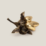 Tropical Mango Gold Decor