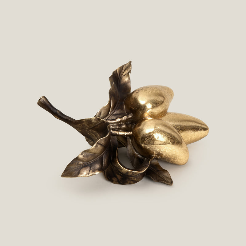 Tropical Mango Gold Decor