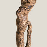 Lyre Leaf Green Potted Tree
