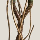 Philodendron Green Potted Plant