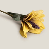 Hibiscus Yellow & Purple Flower