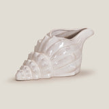 Seashell Off-White Decor