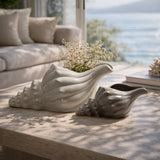 Seashell Off-White Decor