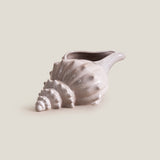 Seashell Grey Decor
