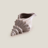 Seashell Grey Decor