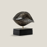 Testa Grey Decor Sculpture – Small