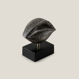 Testa Grey Decor Sculpture – Small