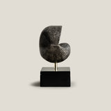 Testa Grey Decor Sculpture – Small