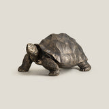 Bronze Turtle Decor Sculpture L