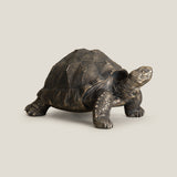 Bronze Turtle Decor Sculpture L