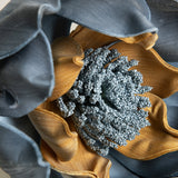 Azure Sunflower