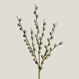 Azure Berry Branch Stem