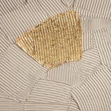 Gilded Imprint Canvas