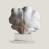 Coralle Accent Decor