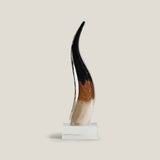 Cerus Glass Horn Decor S