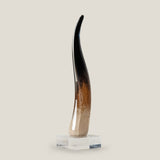 Cerus Glass Horn Decor L