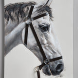 Rein Light Grey Framed Canvas