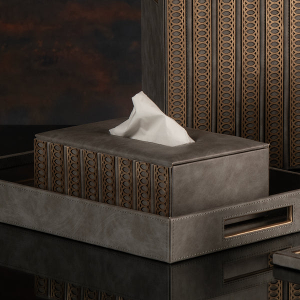 Lexus Grey & Dull Gold Tissue Box