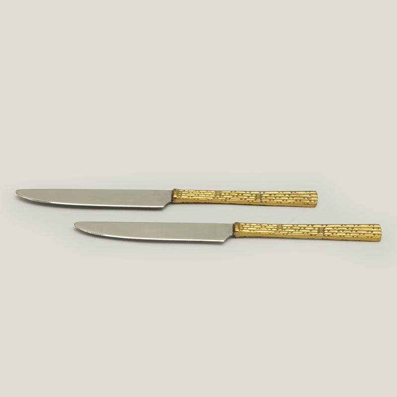 Cocher Table knife Set of 2