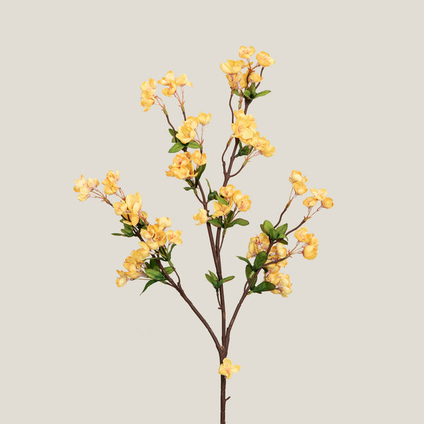 Yellow Blossom Stem