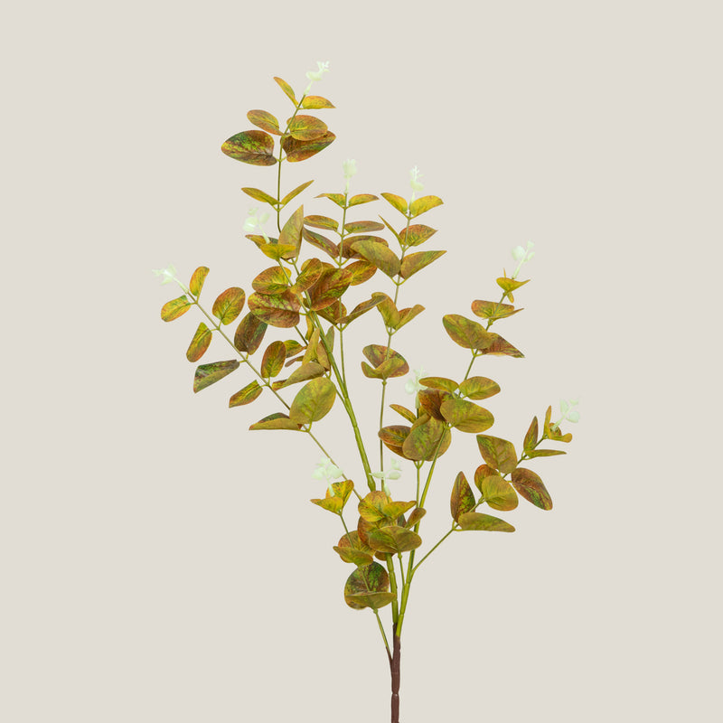 Yellow Leaves Branch