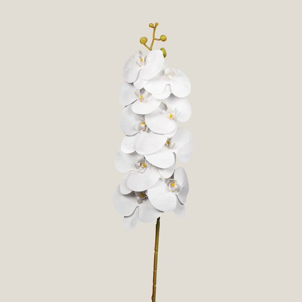 White Phalaenopsis Polyester Ivory Flower