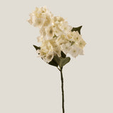 White Hydrangea Small Flower Bunch
