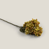 Green Hydrangea Small Flower Bunch