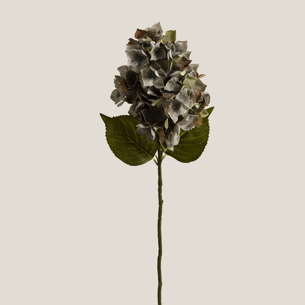 Blue-Grey Hydrangea Small Flower Bunch