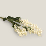 Single Lagerstroemia White Flower