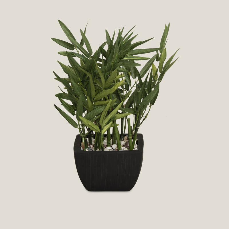 Bamboo Potted Plant Small