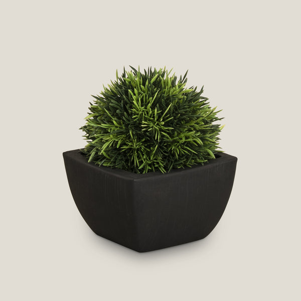 Grass Ball Potted Plant
