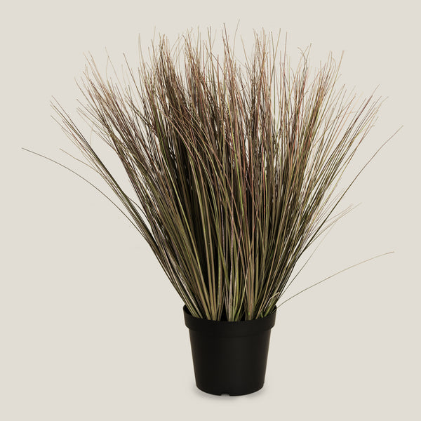 Onion Grass Brown Potted Plant