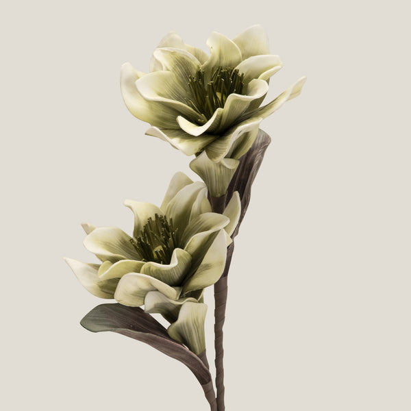 Green Cottonwood Foam Flower