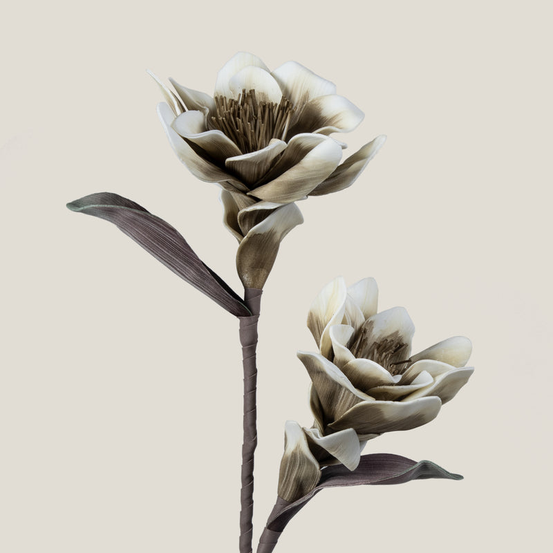 Beige Cottonwood Foam Flower