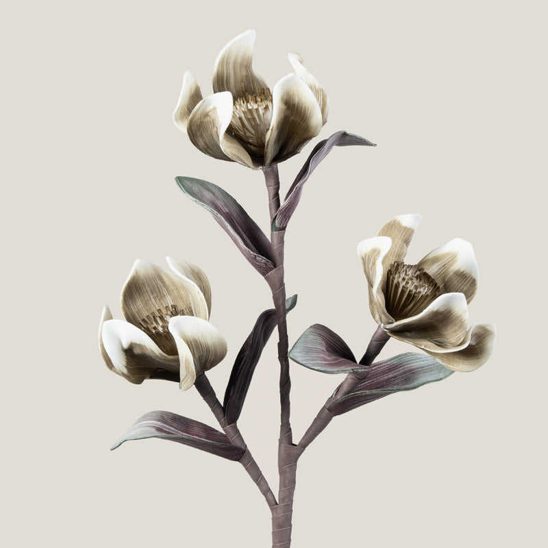 Beige Chinese Magnolia Foam Flower